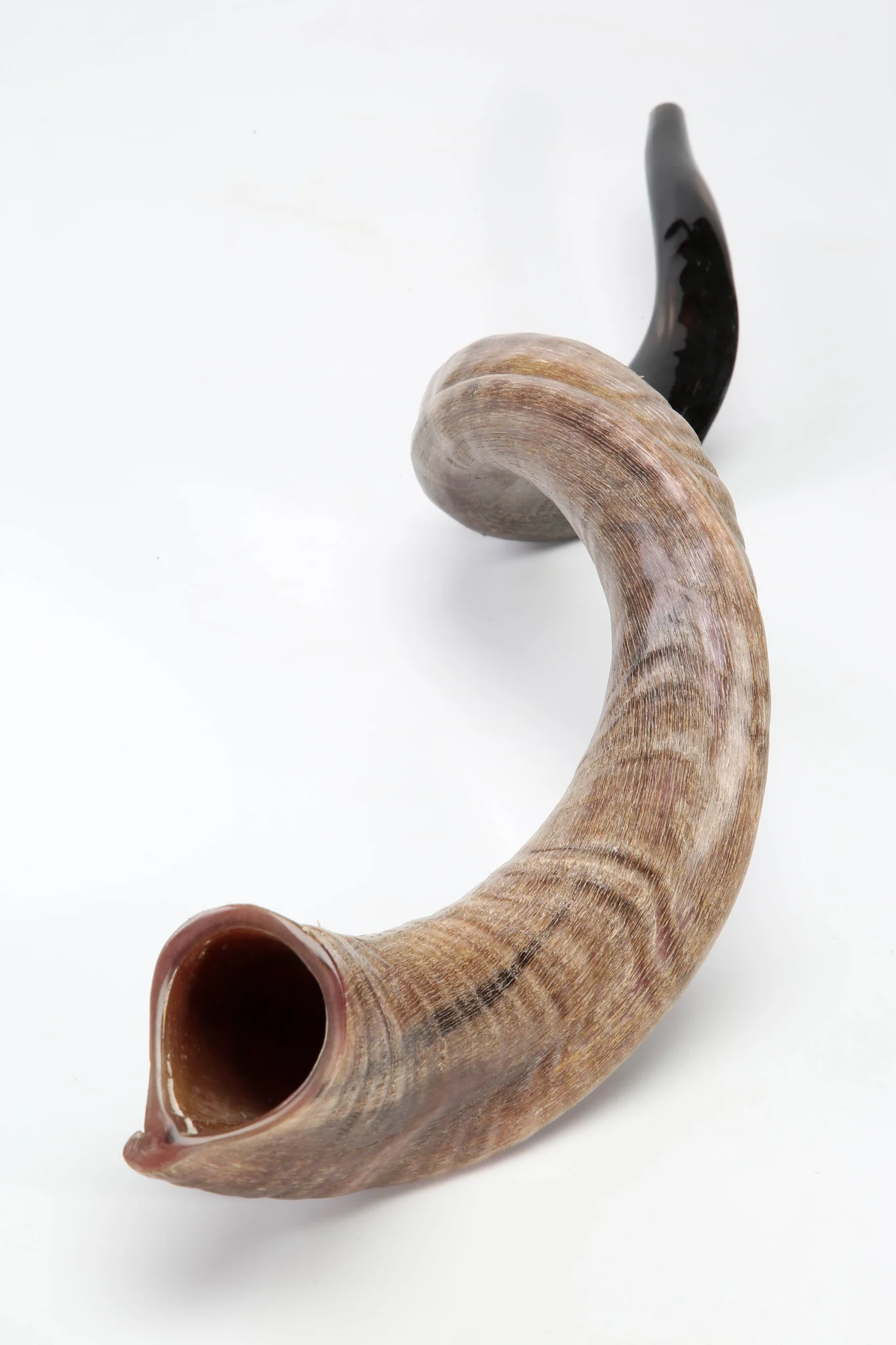 shofar